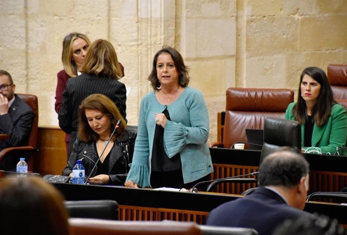 La consejera de Salud y Consumo de la Junta de Andalucía, Catalina García