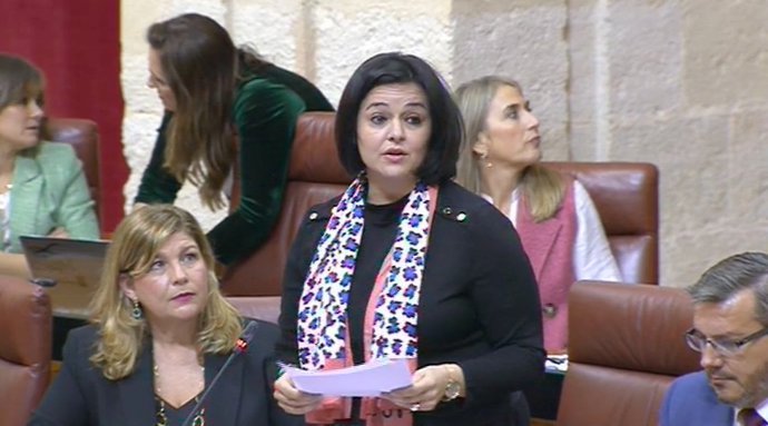 La parlamentaria del PP por Sevilla Virginia Pérez, en la sesión de este jueves 15 de diciembre, en la Cámara andaluza.