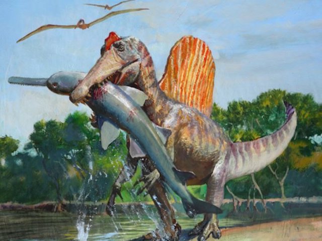 El Spinosaurus probablemente se mantenía sobre sus patas traseras, con huesos densos adecuados para caminar erguido.