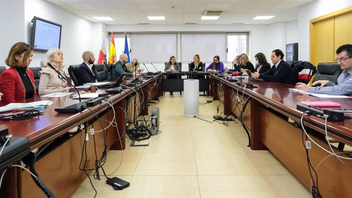 La consejera de Presidencia, Interior, Justicia y Acción Exterior, Paula Fernández, interviene en el Pleno de la Comisión de Protección Civil