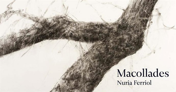 Exposición 'Macollades' en el Jardí Botnic