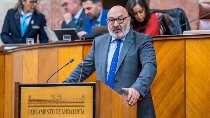 El parlamentario andaluz de Vox Alejandro Hernández, en el Pleno de la Cámara.