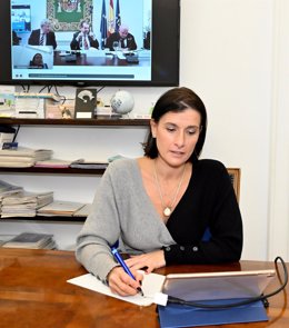 La alcaldesa de Santander, Gema Igual, participa de forma telemática en la Junta de Gobierno y Consejo Territorial de la FEMP