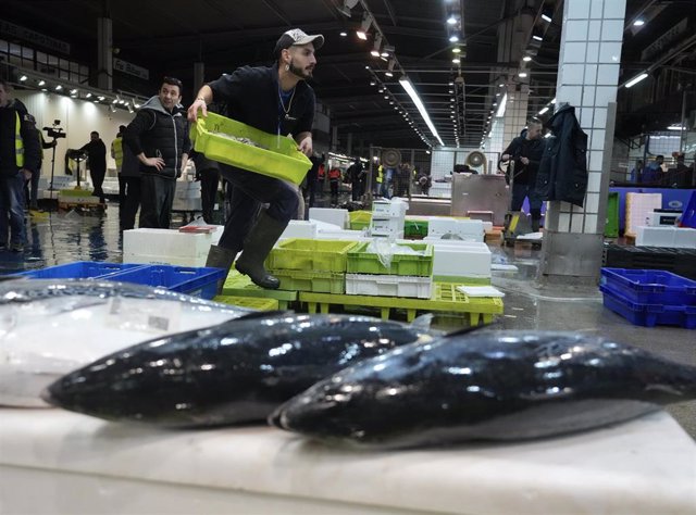 Un trabajador sujeta una caja de pescados en Mercabilbao, a 16 de diciembre de 2022, en Bilbao, País Vasco (España). Mercabilbao es la sociedad anónima mercantil que gestiona el servicio de los Mercados Centrales Mayoristas de la villa de Bilbao y su zona