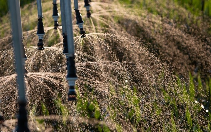 Archivo - Fertilización con purín. Foto de archivo.