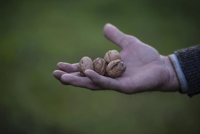 Archivo - Nuez de Pedroso (La Rioja)