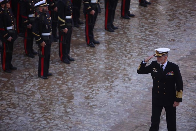 El Rey Felipe VI en el TEAR en San Fernando.