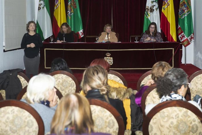 La vicepresidenta tercera y responsable del Área de Igualdad, Carmen Collado, presidiendo el Consejo Provincial de Igualdad de la Diputación de Cádiz