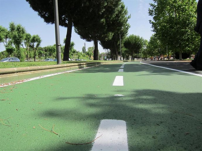 Archivo - Carril bici en Salamanca.                               