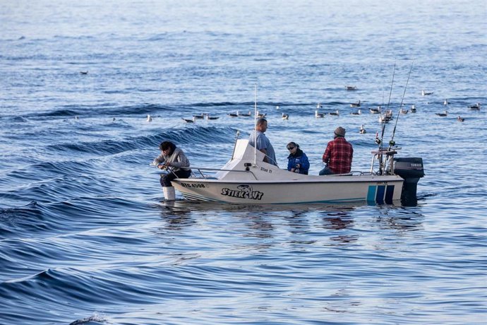 Archivo - Un barco pesquero en Cape Town, Sudáfrica