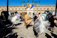 El Parlamento acoge la próxima semana la comparecencia de agentes sociales para pronunciarse sobre 4 proyectos de ley