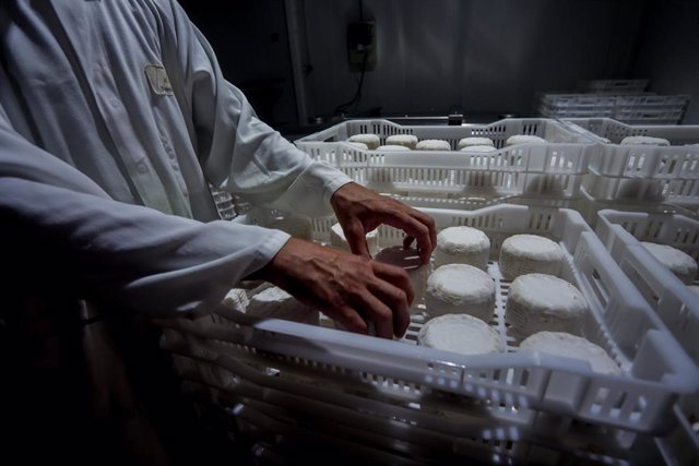 Archivo - Un hombre almacena los quesos en cajas, en la fábrica de la granja Suerte Ampanera, a 24 de agosto de 2022, en Colmenar Viejo, Madrid (España).