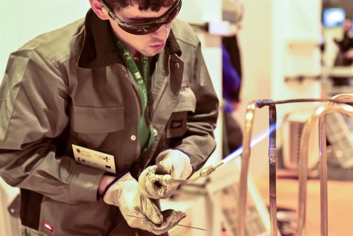 Formación Profesional, FP