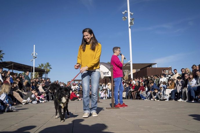 21 Desfile De Perros Abandonados De AUPA Y Fundación BIOPARC