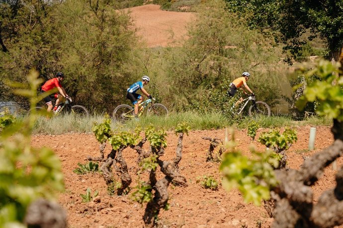 Archivo - Ciclistas entre viñedos en la edición pasada de La Rioja Bike Race