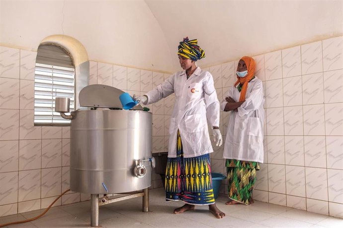 Proceso de transformación de la leche en una de las minilecherías