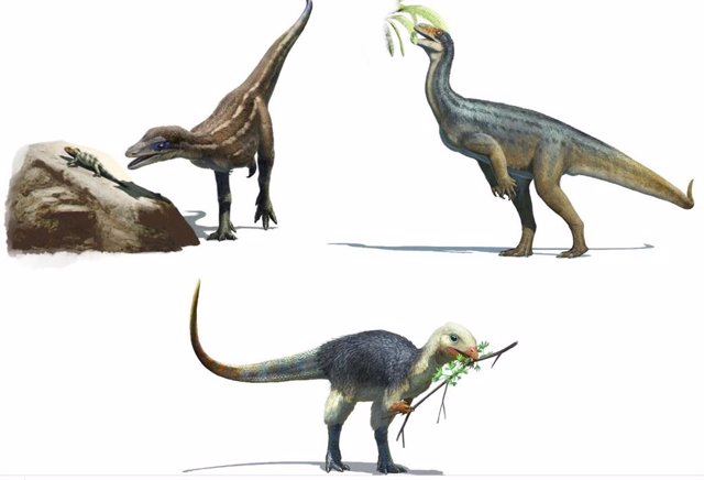 Los primeros dinosaurios y sus dietas. El Lesothosaurus es omnívoro, el Buriolestes carnívoro y el Thecodontosaurus herbívoro.
