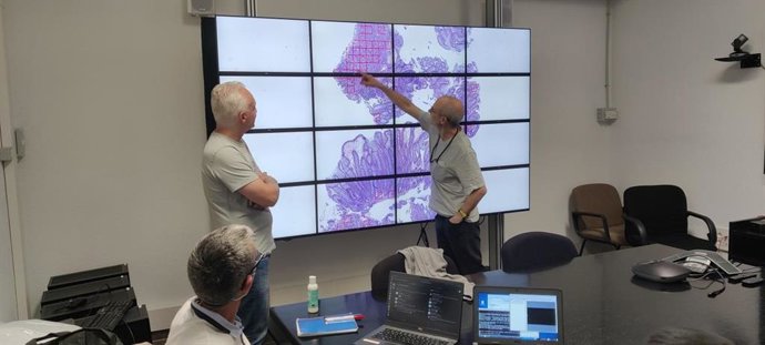 Eduardo Salido, patólogo del HUC, examina los resultados del análisis automatizado de una muestra en el muro de visualización de alta resolución del IAC junto con Carlos Luque, ingeniero informático del IAC, y Carlos Westendorp, astrofísico del IAC