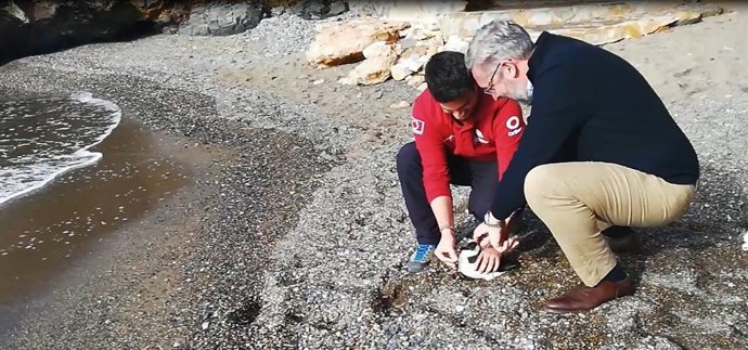 El secretario general de la Consejería de Agua, Agricultura, Ganadería, Pesca, Medio Ambiente y Emergencias, Víctor Martínez, participa en el acto de liberación de un ejemplar de alca común en Cabo de Palos