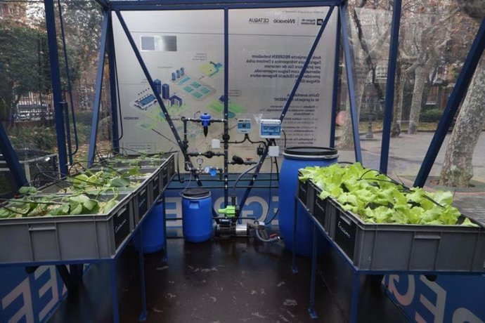 El huerto urbano Regreen, en el recinto de la Escola Industrial de Barcelona