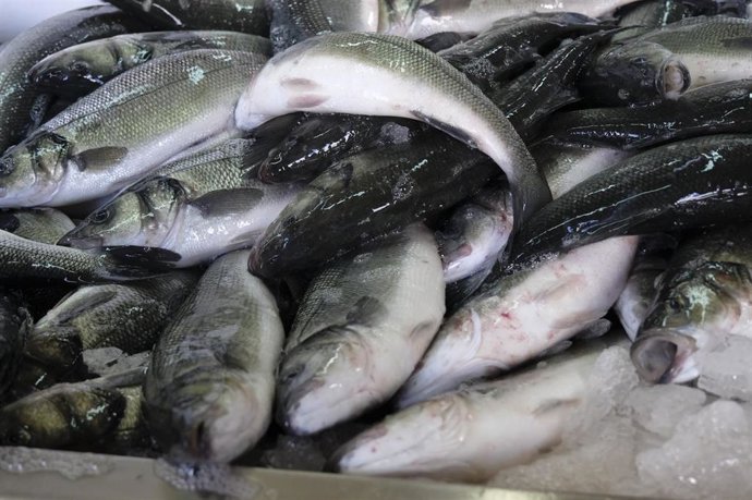 Imagen de las lubinas agrupadas.