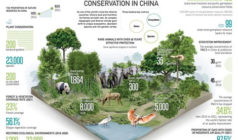 Comunicados Internacional