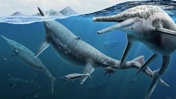 Adulto y cría de la especie de ictiosaurio Shonisaurus popularis persiguen a una presa ammonoidea hace 230 millones de años, en lo que hoy es el Berlin-Ichthyosaur State Park, Nevada, EE.UU.