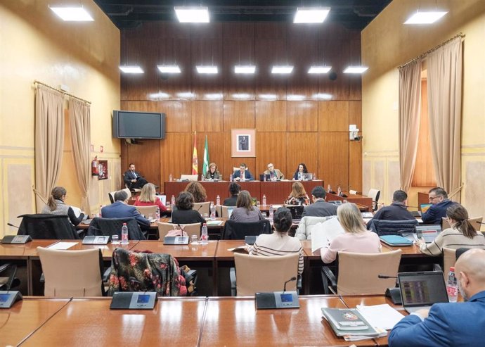 Imagen de la Comisión de Economía, Hacienda y Fondos Europeos del Parlamento andaluz durante el debate del dictamen del proyecto de Ley de Presupuestos de 2023 (Foto de archivo).