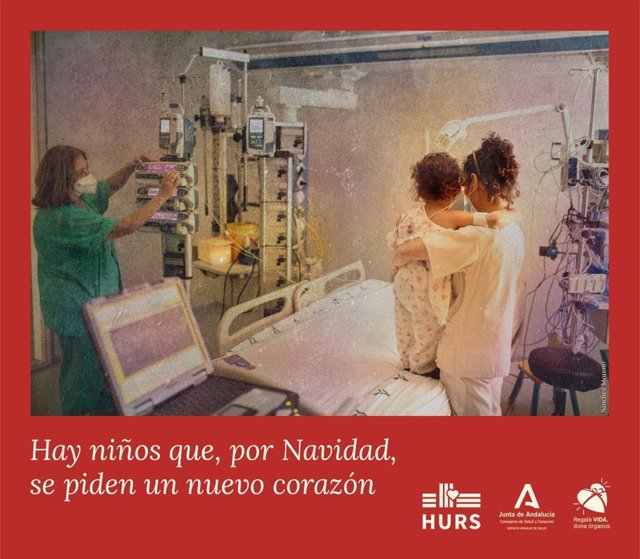 Autoridades, responsables y profesionales en el encendido del alumbrado