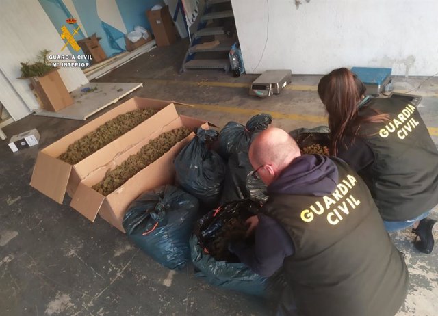 Cuatro Detenidos Al Desmantelar Dos Plantaciones De Marihuana En ...