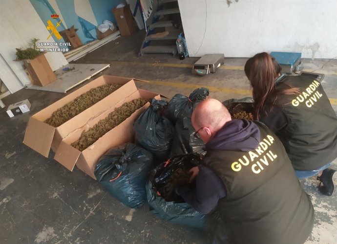 Desmantelan en Constantí (Tarragona) dos plantaciones de marihuana ocultas en dos naves del polígono.
