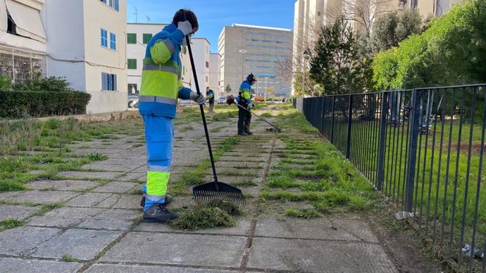 Operarios de Emaya retirando las hierbas en una acera de Palma.