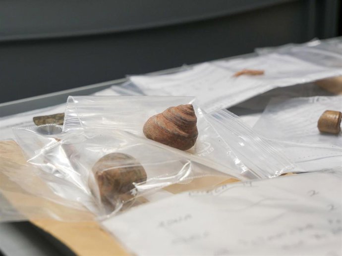 Archivo - Restos arqueológicos depositados en la Universidad de La Laguna (ULL) que serán devueltos al yacimiento situado en su isla de origen