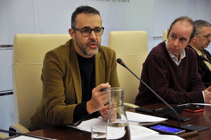 El director general del Ente Público Extremeño de Servicios Educativos Complementarios (EPESEC), Carlos Pérez Vidarte, en la Comisión de Educación de la Asamblea