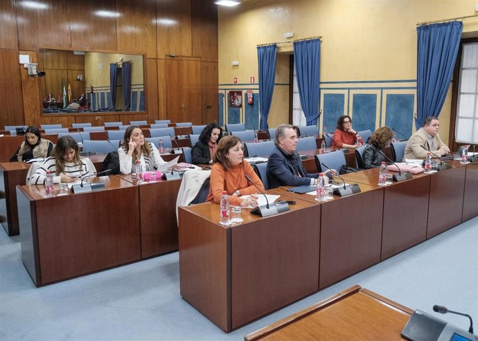 Comisión de Justicia, Administración Local y Función Pública en el Parlamento de Andalucía.