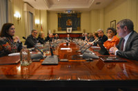 Los vocales del ala progresista del CGPJ incluyen a su candidato al TC en el Pleno extraordinario