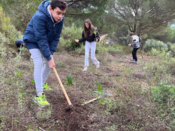 Estudiantes de Secundaria del instituto Sierra Luna en una jornada de repoblación de árboles en Los Barrios (Cádiz)