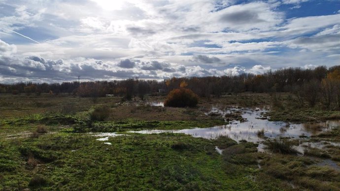 La crecida del río Jarama por las lluvias hace renacer la laguna estacional de la llanura aluvial de Lagunas de Belvis