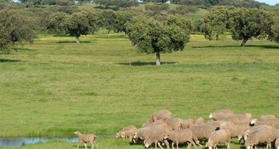 Extremadura