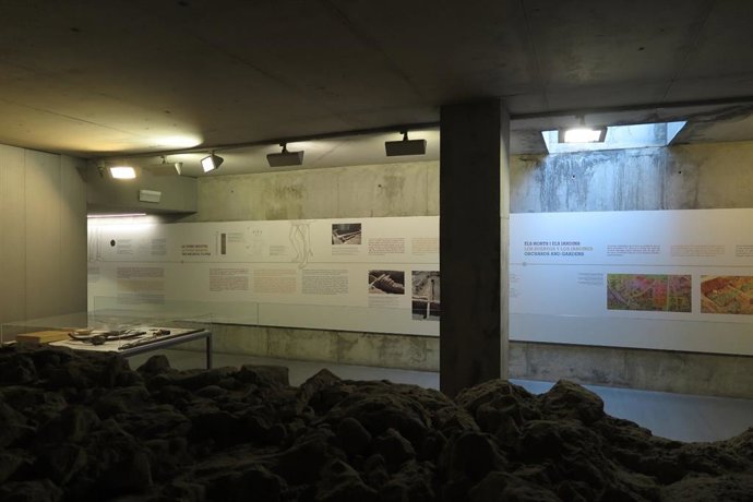 Nueva exposición permanente en el MuVIM