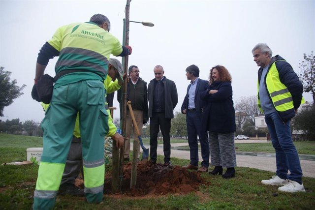 El alcalde de Sevilla, Antonio Muñoz, ha supervisado el inicio de la plantación de 100 nuevos árboles en el Parque Guadaíra.