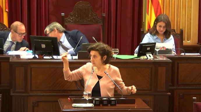 La consellera de Asuntos Sociales y Deportes, Fina Santiago, durante el pleno de presupuestos.