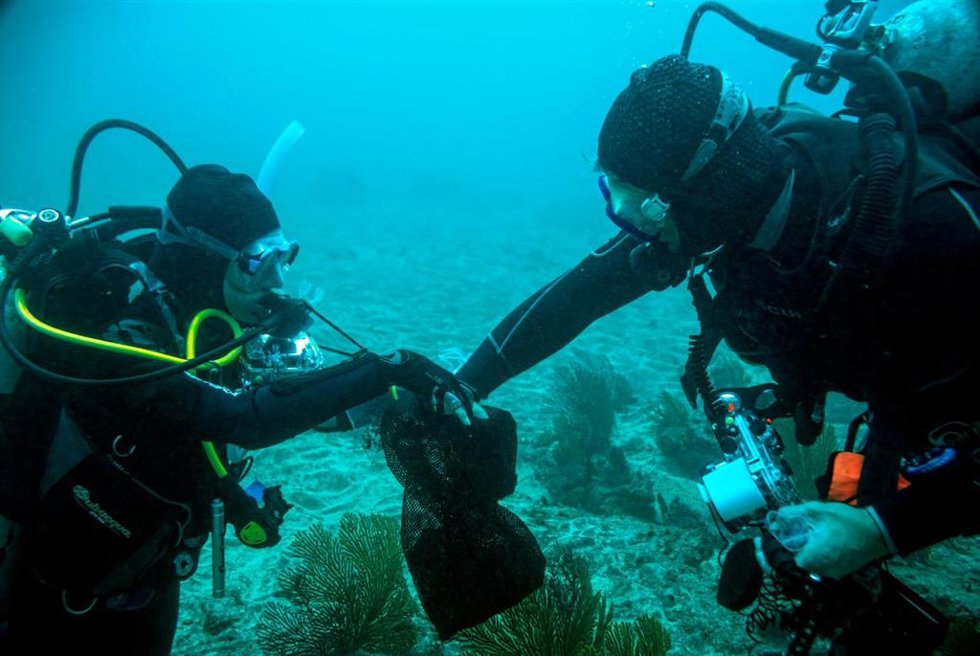 La UMA participa en el descubrimiento de un bosque submarino de quelpos tropicales en las Islas Galápagos