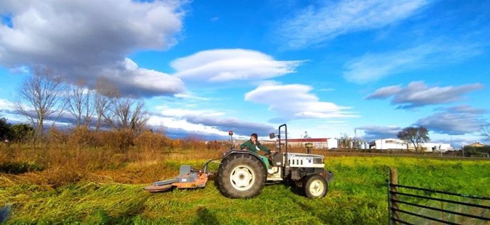 Archivo - Agricultora en un tractor