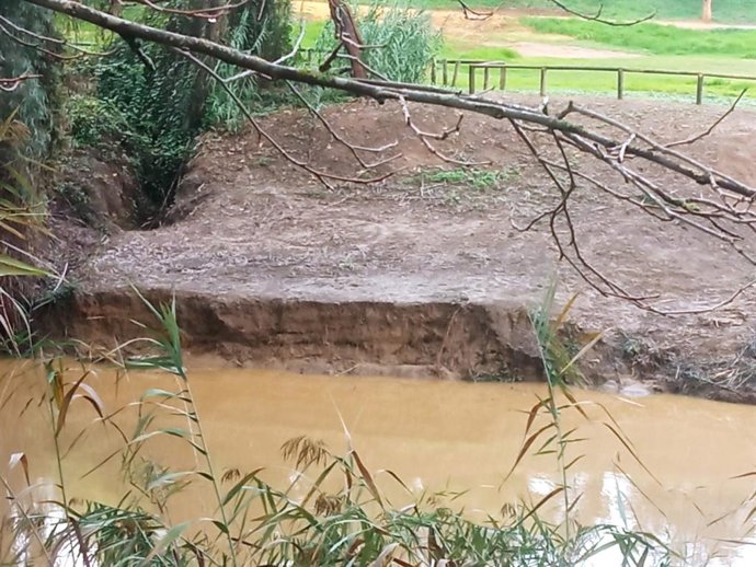 Acumulación de toallitas en la ribera del río Guadaíra.