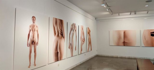 Exposición 'Meat00'de Peck Bruyel en e Museo de La Rioja para Actual 23