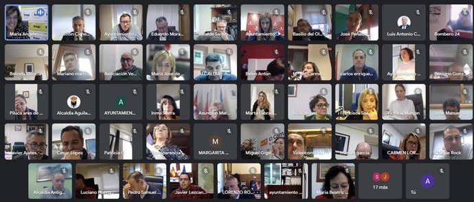 Imagen de la celebración de la reunión del Consejo Regional de la FRMP, que ha tenido lugar de forma telemática.