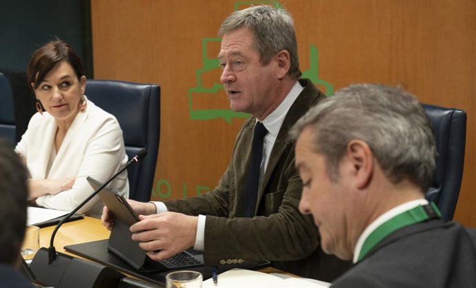 Zupiria, en su comparecencia ante la Comisión de Cultura