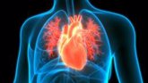 Foto: Analizan las señales de advertencia de un paro cardíaco repentino en busca de una oportunidad para la prevención