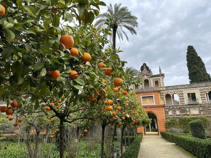 Interior del Alcázar de Sevilla.